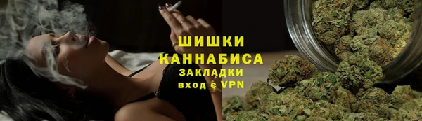 гашик Бронницы