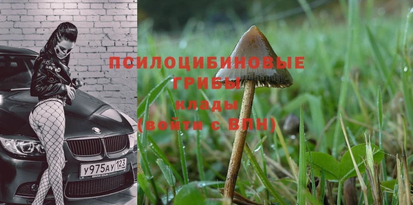 герыч Бородино