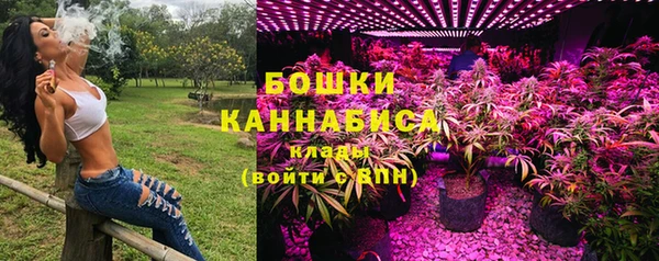 гашик Бронницы