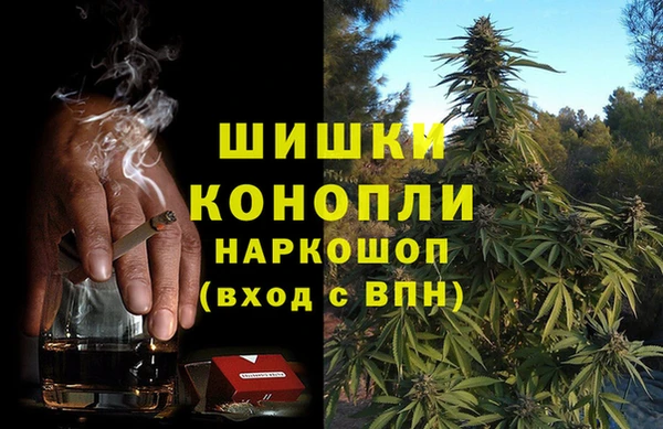 гашик Бронницы